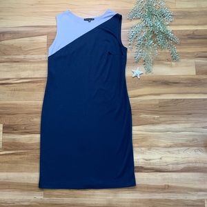Tiana B. Women’s Sleeveless Color Block Sleeveless Dress, Size Small